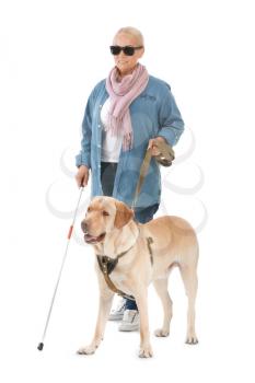 Blind mature woman with guide dog on white background�