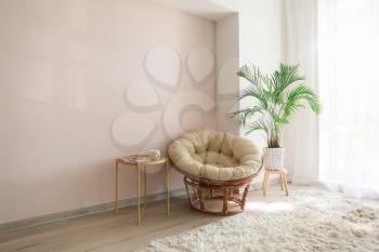 Comfortable armchair and houseplant in light room near window�
