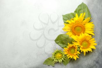 Beautiful sunflowers on light background�