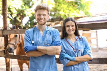 Portrait of veterinarians near paddock with horse on farm�