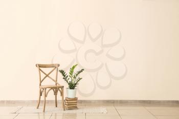 Chair, stack of books and houseplant near light wall�