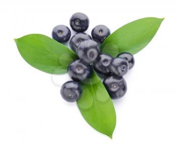 Fresh acai berries on white background�