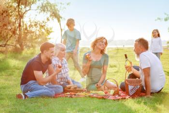 Big family having picnic in park�