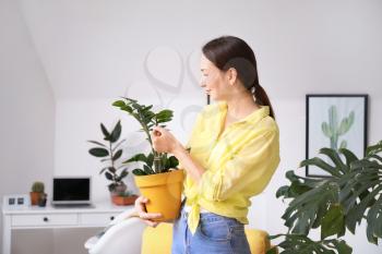 Young woman with beautiful houseplant in pot at home�