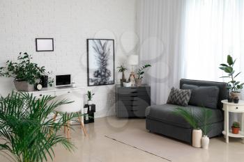 Stylish interior of room with beautiful houseplants�
