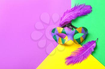 Carnival mask and feathers on color background. Celebration of Mardi Gras (Fat Tuesday)�