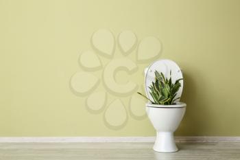 Clean toilet bowl with plant near color wall�