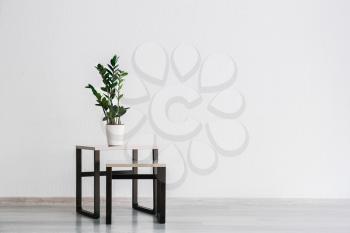 Stylish table with houseplant near white wall�