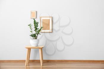 Houseplant on table near white wall in room�
