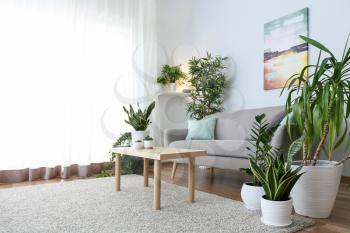 Stylish interior of living room with green houseplants�