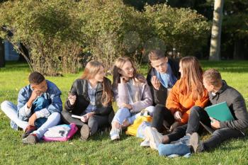 Group of teenage students in park�