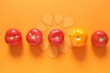 Yellow tomato among red ones on color background. Concept of uniqueness�