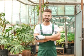 Handsome male gardener in greenhouse�