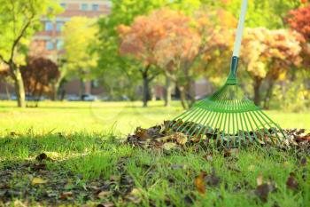 Cleaning of autumn leaves in park�