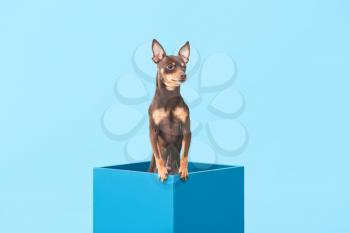 Cute toy terrier dog in box on color background�