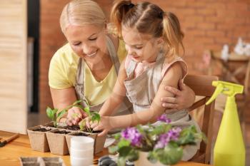 Cute little girl with grandmother setting out young plants in pots at home�