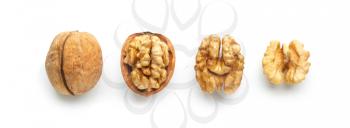 Tasty walnuts isolated on white�