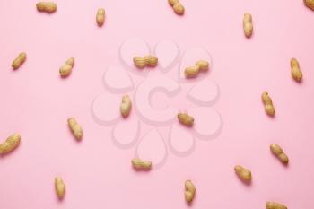 Tasty peanuts on color background�