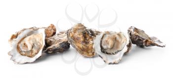 Tasty oysters on white background�