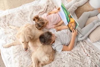 Little children with dog reading book in bedroom at home�