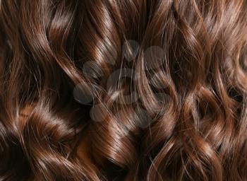 Healthy curly female hair, closeup�
