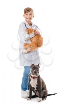 Little veterinarian with animals on white background�