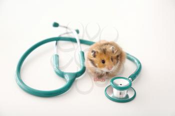 Cute hamster and stethoscope on white background�