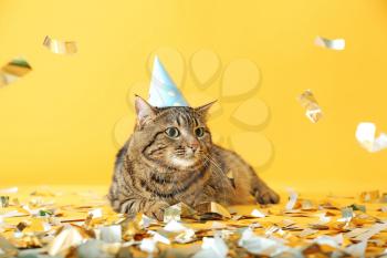 Cute cat in party hat and confetti on color background�