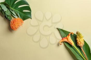 Beautiful tropical flowers and leaves on light background�