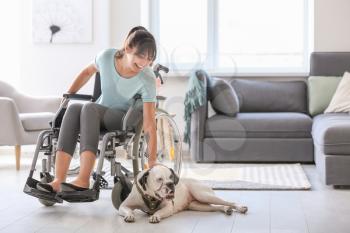 Young woman in wheelchair with service dog at home�