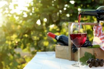 Pouring of red wine into glass on table in vineyard�