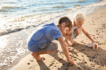 Cute little children gathering sea shells on beach�