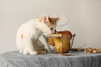 Cute little kitten near basket with pears on table�