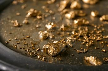 Gold nuggets on metal plate, closeup�