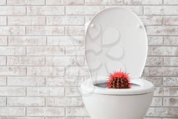 Toilet bowl with cactus near brick wall. Hemorrhoids concept�