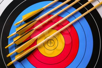 Arrows for archery on target�
