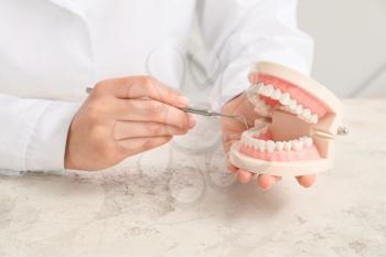 Female dentist with model of jaw and tool, closeup�