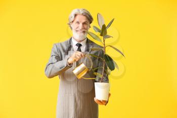 Senior businessman with watering can and plant on color background�