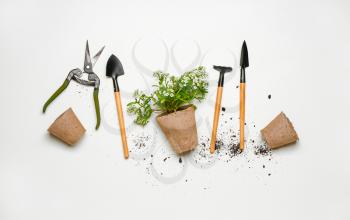 Set of gardening supplies with plant on white background�