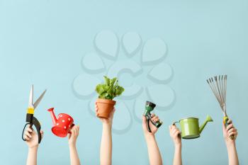 Female hands with gardening tools and houseplant on color background�