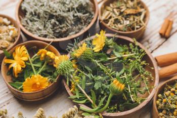 Beautiful composition with different herbs on wooden background�