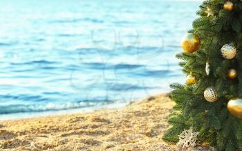 Decorated Christmas tree on sea beach. Vacation concept�