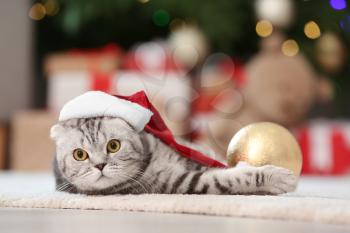 Cute funny cat in Santa hat at home on Christmas eve�