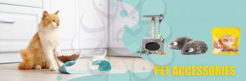 Advertisement banner for pet accessories with cute cat�