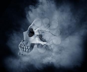 Human skull with fume on dark background�