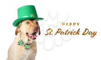 Cute dog in green hat and text HAPPY ST. PATRICK'S DAY on white background�