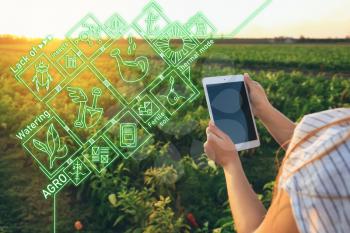 Female farmer using iot application while working in field. Smart farming and digital agriculture�