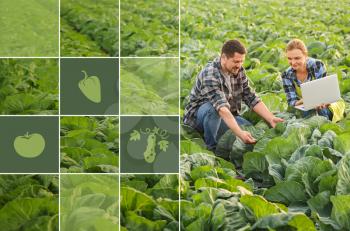 Agricultural engineers working in field. Smart farming and digital agriculture�