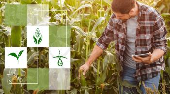Male agricultural engineer working in field. Smart farming and digital agriculture�