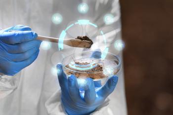 Scientist studying samples of soil in laboratory, closeup�